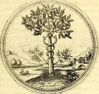An illustration from Joachimi Camerarii Symbolorvm et emblematvm centvriæ tres. I. Ex herbis & stirpibus. II. Ex animalibus quadrupedibus. III. Ex volatilibus & insectis. Accessit noviter centvria IV. Ex aquatilibus & reptilibus. Cvm figvris æneis (1605)