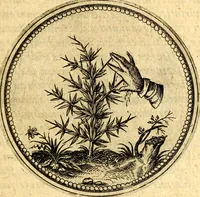 Picture 69 of 302 from Joachimi Camerarii Symbolorvm et emblematvm centvriæ tres. I. Ex herbis & stirpibus. II. Ex animalibus quadrupedibus. III. Ex volatilibus & insectis. Accessit noviter centvria IV. Ex aquatilibus & reptilibus. Cvm figvris æneis (1605), leaf 88