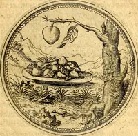 Picture 73 of 302 from Joachimi Camerarii Symbolorvm et emblematvm centvriæ tres. I. Ex herbis & stirpibus. II. Ex animalibus quadrupedibus. III. Ex volatilibus & insectis. Accessit noviter centvria IV. Ex aquatilibus & reptilibus. Cvm figvris æneis (1605), leaf 94