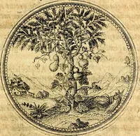 An illustration from Joachimi Camerarii Symbolorvm et emblematvm centvriæ tres. I. Ex herbis & stirpibus. II. Ex animalibus quadrupedibus. III. Ex volatilibus & insectis. Accessit noviter centvria IV. Ex aquatilibus & reptilibus. Cvm figvris æneis (1605)