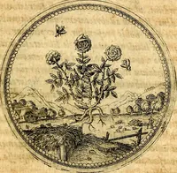 An illustration from Joachimi Camerarii Symbolorvm et emblematvm centvriæ tres. I. Ex herbis & stirpibus. II. Ex animalibus quadrupedibus. III. Ex volatilibus & insectis. Accessit noviter centvria IV. Ex aquatilibus & reptilibus. Cvm figvris æneis (1605)