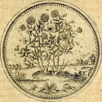 An illustration from Joachimi Camerarii Symbolorvm et emblematvm centvriæ tres. I. Ex herbis & stirpibus. II. Ex animalibus quadrupedibus. III. Ex volatilibus & insectis. Accessit noviter centvria IV. Ex aquatilibus & reptilibus. Cvm figvris æneis (1605)