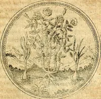 An illustration from Joachimi Camerarii Symbolorvm et emblematvm centvriæ tres. I. Ex herbis & stirpibus. II. Ex animalibus quadrupedibus. III. Ex volatilibus & insectis. Accessit noviter centvria IV. Ex aquatilibus & reptilibus. Cvm figvris æneis (1605)
