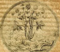 An illustration from Joachimi Camerarii Symbolorvm et emblematvm centvriæ tres. I. Ex herbis & stirpibus. II. Ex animalibus quadrupedibus. III. Ex volatilibus & insectis. Accessit noviter centvria IV. Ex aquatilibus & reptilibus. Cvm figvris æneis (1605)