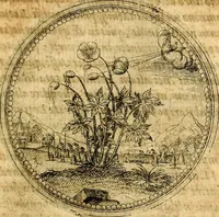 An illustration from Joachimi Camerarii Symbolorvm et emblematvm centvriæ tres. I. Ex herbis & stirpibus. II. Ex animalibus quadrupedibus. III. Ex volatilibus & insectis. Accessit noviter centvria IV. Ex aquatilibus & reptilibus. Cvm figvris æneis (1605)