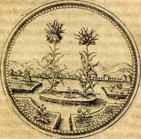 Picture 116 of 591 from Joachimi Camerarii Symbolorvm et emblematvm centvriæ tres. I. Ex herbis & stirpibus. II. Ex animalibus quadrupedibus. III. Ex volatilibus & insectis. Accessit noviter centvria IV. Ex aquatilibus & reptilibus. Cvm figvris æneis (1605), leaf 154