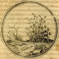An illustration from Joachimi Camerarii Symbolorvm et emblematvm centvriæ tres. I. Ex herbis & stirpibus. II. Ex animalibus quadrupedibus. III. Ex volatilibus & insectis. Accessit noviter centvria IV. Ex aquatilibus & reptilibus. Cvm figvris æneis (1605)