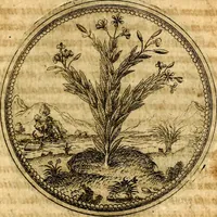 An illustration from Joachimi Camerarii Symbolorvm et emblematvm centvriæ tres. I. Ex herbis & stirpibus. II. Ex animalibus quadrupedibus. III. Ex volatilibus & insectis. Accessit noviter centvria IV. Ex aquatilibus & reptilibus. Cvm figvris æneis (1605)