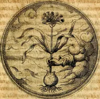 An illustration from Joachimi Camerarii Symbolorvm et emblematvm centvriæ tres. I. Ex herbis & stirpibus. II. Ex animalibus quadrupedibus. III. Ex volatilibus & insectis. Accessit noviter centvria IV. Ex aquatilibus & reptilibus. Cvm figvris æneis (1605)