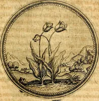 An illustration from Joachimi Camerarii Symbolorvm et emblematvm centvriæ tres. I. Ex herbis & stirpibus. II. Ex animalibus quadrupedibus. III. Ex volatilibus & insectis. Accessit noviter centvria IV. Ex aquatilibus & reptilibus. Cvm figvris æneis (1605)