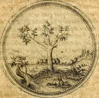 Picture 7 of 591 from Joachimi Camerarii Symbolorvm et emblematvm centvriæ tres. I. Ex herbis & stirpibus. II. Ex animalibus quadrupedibus. III. Ex volatilibus & insectis. Accessit noviter centvria IV. Ex aquatilibus & reptilibus. Cvm figvris æneis (1605), leaf 22