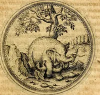 An illustration from Joachimi Camerarii Symbolorvm et emblematvm centvriæ tres. I. Ex herbis & stirpibus. II. Ex animalibus quadrupedibus. III. Ex volatilibus & insectis. Accessit noviter centvria IV. Ex aquatilibus & reptilibus. Cvm figvris æneis (1605)