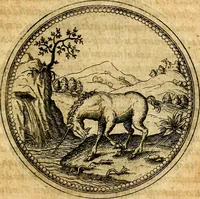 An illustration from Joachimi Camerarii Symbolorvm et emblematvm centvriæ tres. I. Ex herbis & stirpibus. II. Ex animalibus quadrupedibus. III. Ex volatilibus & insectis. Accessit noviter centvria IV. Ex aquatilibus & reptilibus. Cvm figvris æneis (1605)