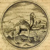An illustration from Joachimi Camerarii Symbolorvm et emblematvm centvriæ tres. I. Ex herbis & stirpibus. II. Ex animalibus quadrupedibus. III. Ex volatilibus & insectis. Accessit noviter centvria IV. Ex aquatilibus & reptilibus. Cvm figvris æneis (1605)