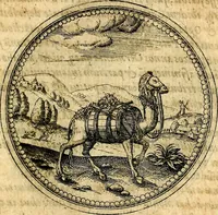 Picture 195 of 591 from Joachimi Camerarii Symbolorvm et emblematvm centvriæ tres. I. Ex herbis & stirpibus. II. Ex animalibus quadrupedibus. III. Ex volatilibus & insectis. Accessit noviter centvria IV. Ex aquatilibus & reptilibus. Cvm figvris æneis (1605), leaf 248