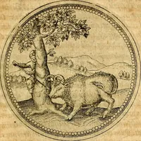 An illustration from Joachimi Camerarii Symbolorvm et emblematvm centvriæ tres. I. Ex herbis & stirpibus. II. Ex animalibus quadrupedibus. III. Ex volatilibus & insectis. Accessit noviter centvria IV. Ex aquatilibus & reptilibus. Cvm figvris æneis (1605)