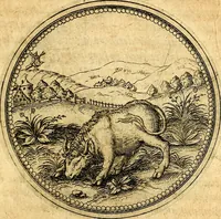 An illustration from Joachimi Camerarii Symbolorvm et emblematvm centvriæ tres. I. Ex herbis & stirpibus. II. Ex animalibus quadrupedibus. III. Ex volatilibus & insectis. Accessit noviter centvria IV. Ex aquatilibus & reptilibus. Cvm figvris æneis (1605)