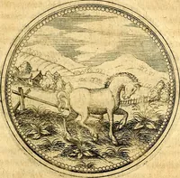 An illustration from Joachimi Camerarii Symbolorvm et emblematvm centvriæ tres. I. Ex herbis & stirpibus. II. Ex animalibus quadrupedibus. III. Ex volatilibus & insectis. Accessit noviter centvria IV. Ex aquatilibus & reptilibus. Cvm figvris æneis (1605)