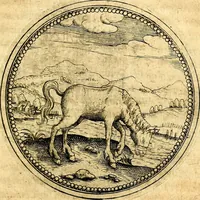 An illustration from Joachimi Camerarii Symbolorvm et emblematvm centvriæ tres. I. Ex herbis & stirpibus. II. Ex animalibus quadrupedibus. III. Ex volatilibus & insectis. Accessit noviter centvria IV. Ex aquatilibus & reptilibus. Cvm figvris æneis (1605)