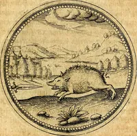 An illustration from Joachimi Camerarii Symbolorvm et emblematvm centvriæ tres. I. Ex herbis & stirpibus. II. Ex animalibus quadrupedibus. III. Ex volatilibus & insectis. Accessit noviter centvria IV. Ex aquatilibus & reptilibus. Cvm figvris æneis (1605)