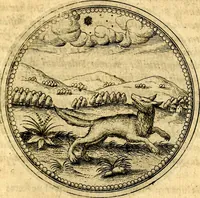 An illustration from Joachimi Camerarii Symbolorvm et emblematvm centvriæ tres. I. Ex herbis & stirpibus. II. Ex animalibus quadrupedibus. III. Ex volatilibus & insectis. Accessit noviter centvria IV. Ex aquatilibus & reptilibus. Cvm figvris æneis (1605)