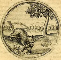 An illustration from Joachimi Camerarii Symbolorvm et emblematvm centvriæ tres. I. Ex herbis & stirpibus. II. Ex animalibus quadrupedibus. III. Ex volatilibus & insectis. Accessit noviter centvria IV. Ex aquatilibus & reptilibus. Cvm figvris æneis (1605)
