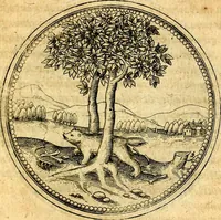 Picture 251 of 591 from Joachimi Camerarii Symbolorvm et emblematvm centvriæ tres. I. Ex herbis & stirpibus. II. Ex animalibus quadrupedibus. III. Ex volatilibus & insectis. Accessit noviter centvria IV. Ex aquatilibus & reptilibus. Cvm figvris æneis (1605), leaf 320