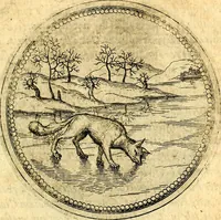 Picture 253 of 591 from Joachimi Camerarii Symbolorvm et emblematvm centvriæ tres. I. Ex herbis & stirpibus. II. Ex animalibus quadrupedibus. III. Ex volatilibus & insectis. Accessit noviter centvria IV. Ex aquatilibus & reptilibus. Cvm figvris æneis (1605), leaf 322