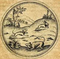Picture 259 of 591 from Joachimi Camerarii Symbolorvm et emblematvm centvriæ tres. I. Ex herbis & stirpibus. II. Ex animalibus quadrupedibus. III. Ex volatilibus & insectis. Accessit noviter centvria IV. Ex aquatilibus & reptilibus. Cvm figvris æneis (1605), leaf 330