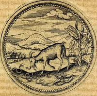 Picture 265 of 591 from Joachimi Camerarii Symbolorvm et emblematvm centvriæ tres. I. Ex herbis & stirpibus. II. Ex animalibus quadrupedibus. III. Ex volatilibus & insectis. Accessit noviter centvria IV. Ex aquatilibus & reptilibus. Cvm figvris æneis (1605), leaf 340