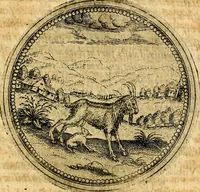 An illustration from Joachimi Camerarii Symbolorvm et emblematvm centvriæ tres. I. Ex herbis & stirpibus. II. Ex animalibus quadrupedibus. III. Ex volatilibus & insectis. Accessit noviter centvria IV. Ex aquatilibus & reptilibus. Cvm figvris æneis (1605)