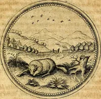 Picture 275 of 591 from Joachimi Camerarii Symbolorvm et emblematvm centvriæ tres. I. Ex herbis & stirpibus. II. Ex animalibus quadrupedibus. III. Ex volatilibus & insectis. Accessit noviter centvria IV. Ex aquatilibus & reptilibus. Cvm figvris æneis (1605), leaf 354