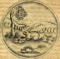 Picture 276 of 591 from Joachimi Camerarii Symbolorvm et emblematvm centvriæ tres. I. Ex herbis & stirpibus. II. Ex animalibus quadrupedibus. III. Ex volatilibus & insectis. Accessit noviter centvria IV. Ex aquatilibus & reptilibus. Cvm figvris æneis (1605), leaf 356