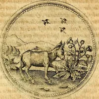 An illustration from Joachimi Camerarii Symbolorvm et emblematvm centvriæ tres. I. Ex herbis & stirpibus. II. Ex animalibus quadrupedibus. III. Ex volatilibus & insectis. Accessit noviter centvria IV. Ex aquatilibus & reptilibus. Cvm figvris æneis (1605)