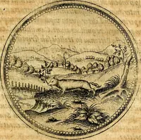 Picture 284 of 591 from Joachimi Camerarii Symbolorvm et emblematvm centvriæ tres. I. Ex herbis & stirpibus. II. Ex animalibus quadrupedibus. III. Ex volatilibus & insectis. Accessit noviter centvria IV. Ex aquatilibus & reptilibus. Cvm figvris æneis (1605), leaf 366