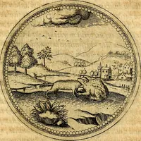 An illustration from Joachimi Camerarii Symbolorvm et emblematvm centvriæ tres. I. Ex herbis & stirpibus. II. Ex animalibus quadrupedibus. III. Ex volatilibus & insectis. Accessit noviter centvria IV. Ex aquatilibus & reptilibus. Cvm figvris æneis (1605)