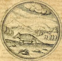 Picture 290 of 591 from Joachimi Camerarii Symbolorvm et emblematvm centvriæ tres. I. Ex herbis & stirpibus. II. Ex animalibus quadrupedibus. III. Ex volatilibus & insectis. Accessit noviter centvria IV. Ex aquatilibus & reptilibus. Cvm figvris æneis (1605), leaf 374