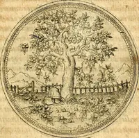 An illustration from Joachimi Camerarii Symbolorvm et emblematvm centvriæ tres. I. Ex herbis & stirpibus. II. Ex animalibus quadrupedibus. III. Ex volatilibus & insectis. Accessit noviter centvria IV. Ex aquatilibus & reptilibus. Cvm figvris æneis (1605)