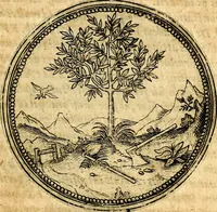 Picture 26 of 591 from Joachimi Camerarii Symbolorvm et emblematvm centvriæ tres. I. Ex herbis & stirpibus. II. Ex animalibus quadrupedibus. III. Ex volatilibus & insectis. Accessit noviter centvria IV. Ex aquatilibus & reptilibus. Cvm figvris æneis (1605), leaf 44