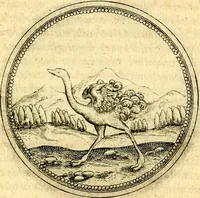 An illustration from Joachimi Camerarii Symbolorvm et emblematvm centvriæ tres. I. Ex herbis & stirpibus. II. Ex animalibus quadrupedibus. III. Ex volatilibus & insectis. Accessit noviter centvria IV. Ex aquatilibus & reptilibus. Cvm figvris æneis (1605)