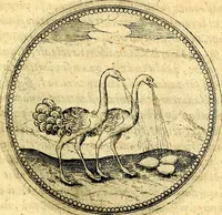 An illustration from Joachimi Camerarii Symbolorvm et emblematvm centvriæ tres. I. Ex herbis & stirpibus. II. Ex animalibus quadrupedibus. III. Ex volatilibus & insectis. Accessit noviter centvria IV. Ex aquatilibus & reptilibus. Cvm figvris æneis (1605)