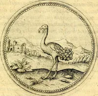 An illustration from Joachimi Camerarii Symbolorvm et emblematvm centvriæ tres. I. Ex herbis & stirpibus. II. Ex animalibus quadrupedibus. III. Ex volatilibus & insectis. Accessit noviter centvria IV. Ex aquatilibus & reptilibus. Cvm figvris æneis (1605)