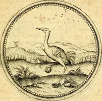 An illustration from Joachimi Camerarii Symbolorvm et emblematvm centvriæ tres. I. Ex herbis & stirpibus. II. Ex animalibus quadrupedibus. III. Ex volatilibus & insectis. Accessit noviter centvria IV. Ex aquatilibus & reptilibus. Cvm figvris æneis (1605)