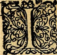 An illustration from Joachimi Camerarii Symbolorvm et emblematvm centvriæ tres. I. Ex herbis & stirpibus. II. Ex animalibus quadrupedibus. III. Ex volatilibus & insectis. Accessit noviter centvria IV. Ex aquatilibus & reptilibus. Cvm figvris æneis (1605)