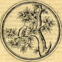 Picture 376 of 591 from Joachimi Camerarii Symbolorvm et emblematvm centvriæ tres. I. Ex herbis & stirpibus. II. Ex animalibus quadrupedibus. III. Ex volatilibus & insectis. Accessit noviter centvria IV. Ex aquatilibus & reptilibus. Cvm figvris æneis (1605), leaf 508