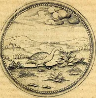 An illustration from Joachimi Camerarii Symbolorvm et emblematvm centvriæ tres. I. Ex herbis & stirpibus. II. Ex animalibus quadrupedibus. III. Ex volatilibus & insectis. Accessit noviter centvria IV. Ex aquatilibus & reptilibus. Cvm figvris æneis (1605)