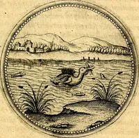 An illustration from Joachimi Camerarii Symbolorvm et emblematvm centvriæ tres. I. Ex herbis & stirpibus. II. Ex animalibus quadrupedibus. III. Ex volatilibus & insectis. Accessit noviter centvria IV. Ex aquatilibus & reptilibus. Cvm figvris æneis (1605)