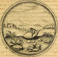 An illustration from Joachimi Camerarii Symbolorvm et emblematvm centvriæ tres. I. Ex herbis & stirpibus. II. Ex animalibus quadrupedibus. III. Ex volatilibus & insectis. Accessit noviter centvria IV. Ex aquatilibus & reptilibus. Cvm figvris æneis (1605)
