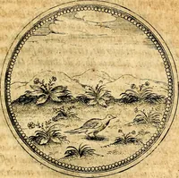 An illustration from Joachimi Camerarii Symbolorvm et emblematvm centvriæ tres. I. Ex herbis & stirpibus. II. Ex animalibus quadrupedibus. III. Ex volatilibus & insectis. Accessit noviter centvria IV. Ex aquatilibus & reptilibus. Cvm figvris æneis (1605)