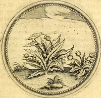 Picture 414 of 591 from Joachimi Camerarii Symbolorvm et emblematvm centvriæ tres. I. Ex herbis & stirpibus. II. Ex animalibus quadrupedibus. III. Ex volatilibus & insectis. Accessit noviter centvria IV. Ex aquatilibus & reptilibus. Cvm figvris æneis (1605), leaf 566